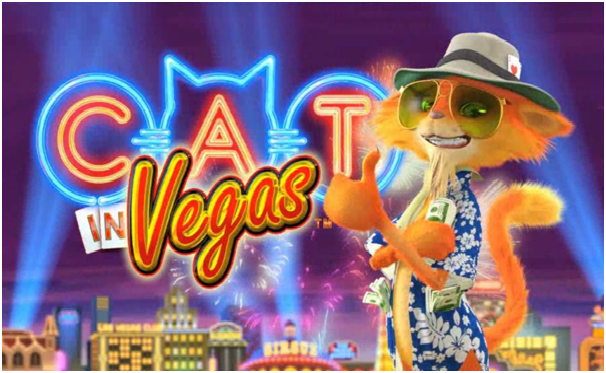 Cat in Vegas